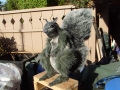 Stop motion squirrel fabrication